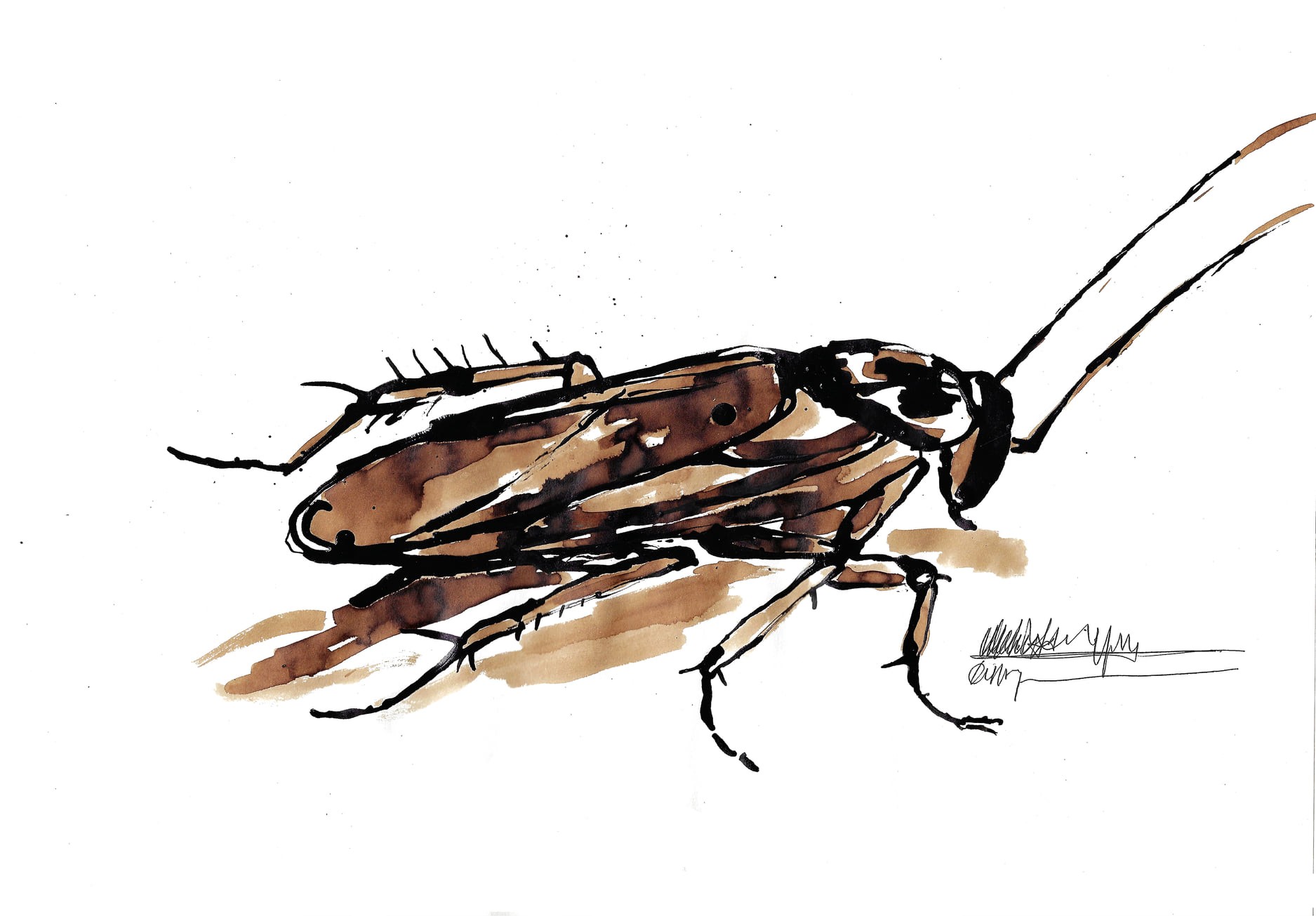 Bug1