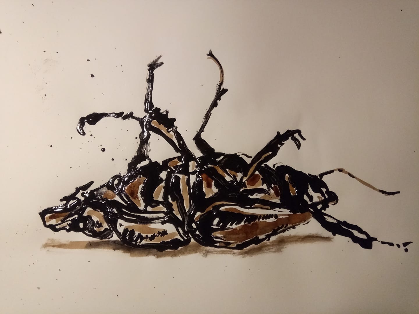 Bug11