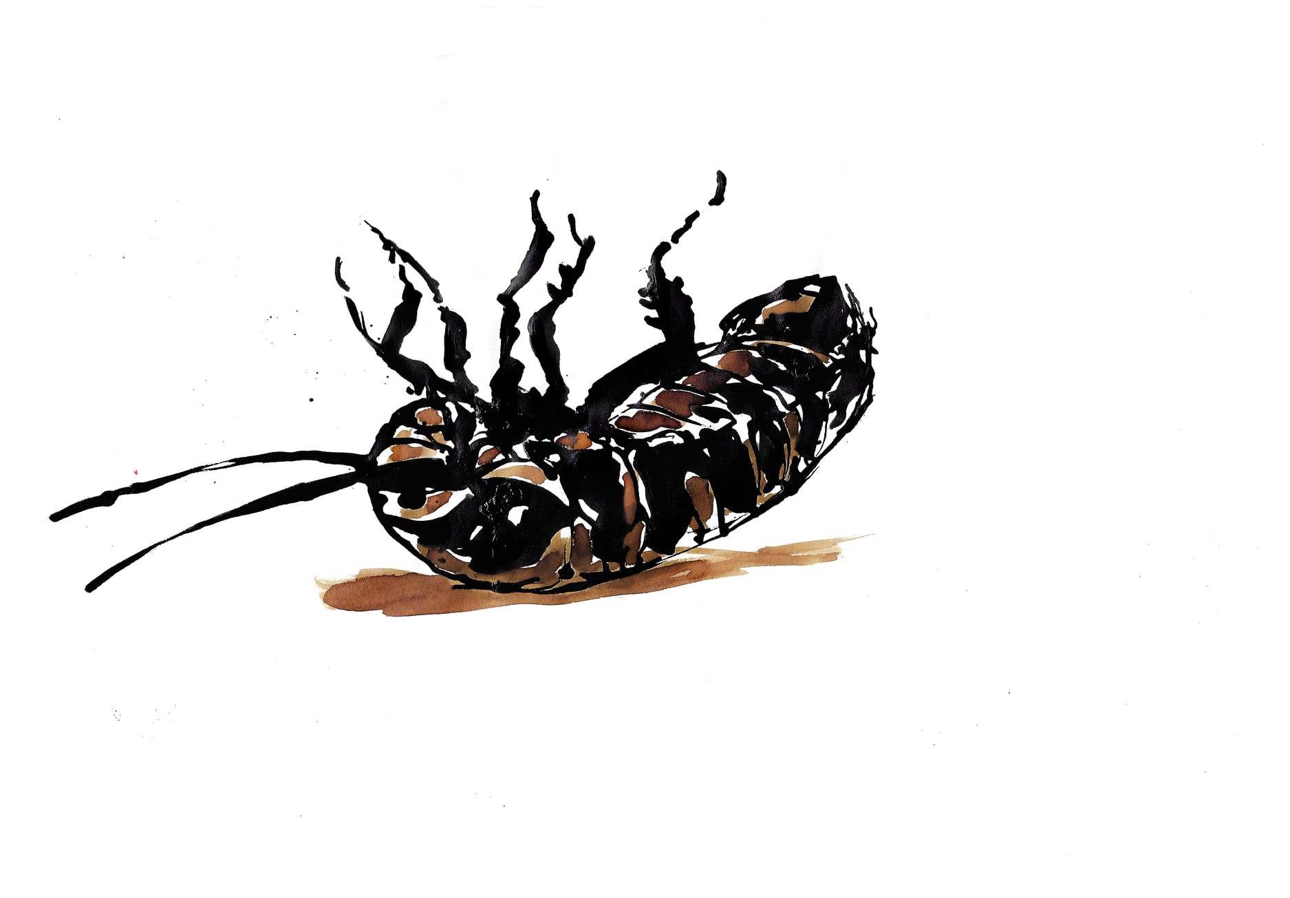 Bug2