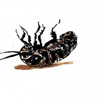 Bug2