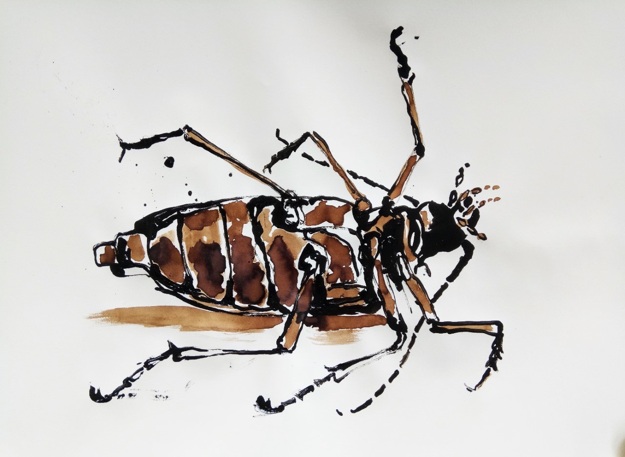 Bug3