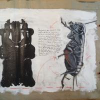 Bug6