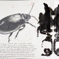 Bug8