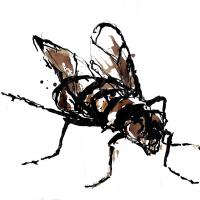 Fly18