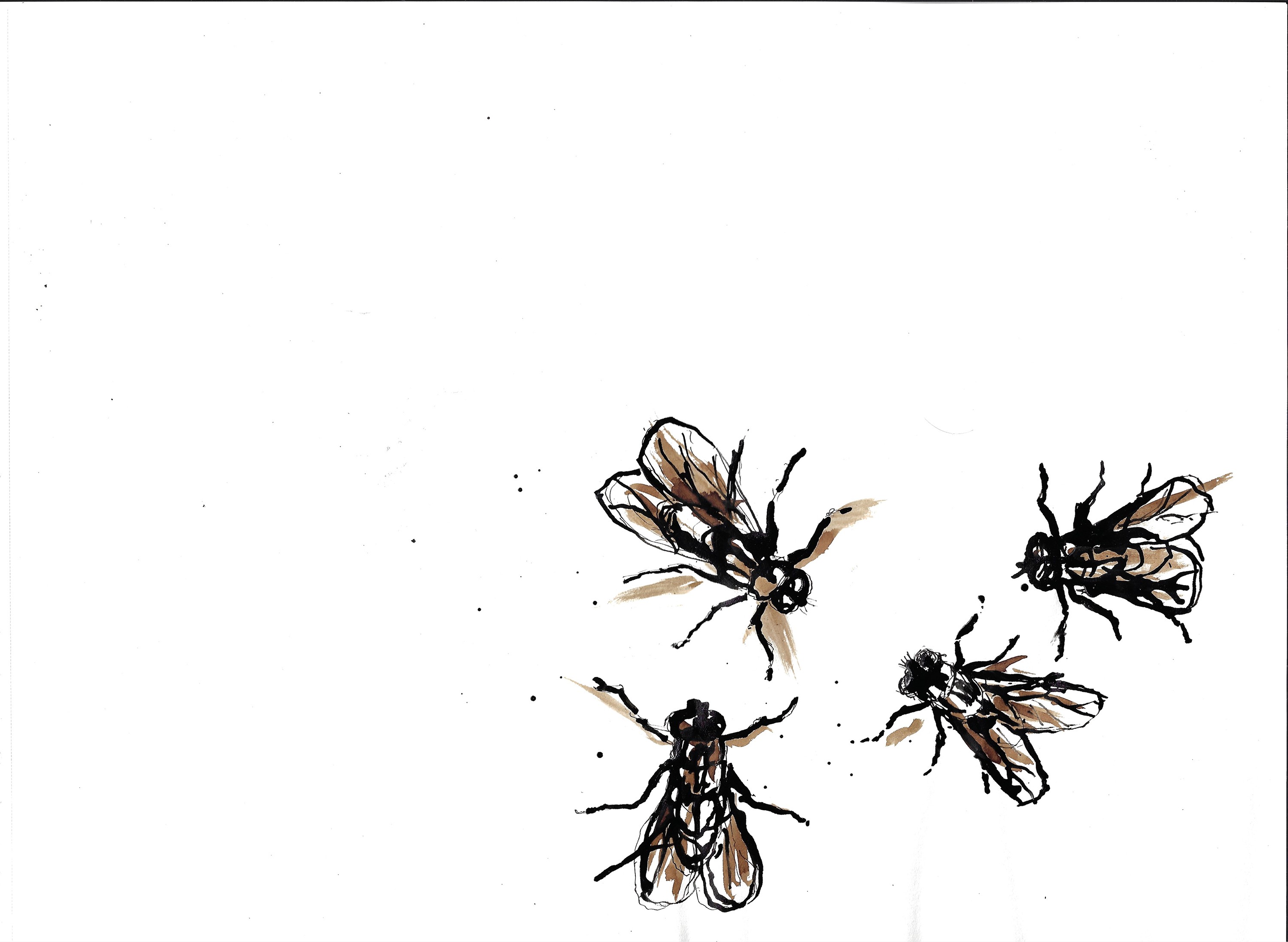 Fly32