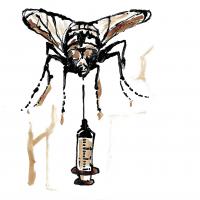 Fly33