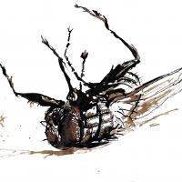 Fly4 1