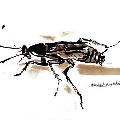 Cockroach#3 (32x24)