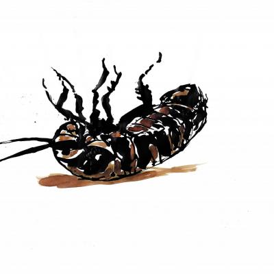 Cockroach#4 (32x24)
