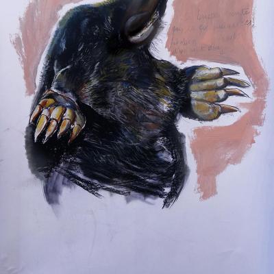 A giant mole which... (approx 80x140)